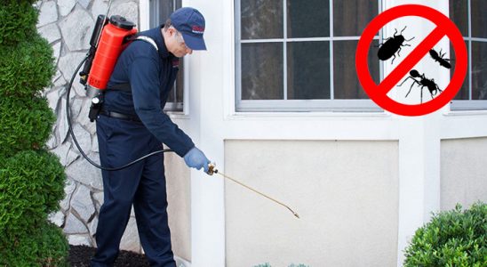 Kozan Hamam Böceği İlaçlama böcek ilaçlama ve haşere kontrolü — ilaclama-tr.com